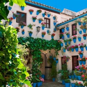 cultura y tradiciones en cordoba patios