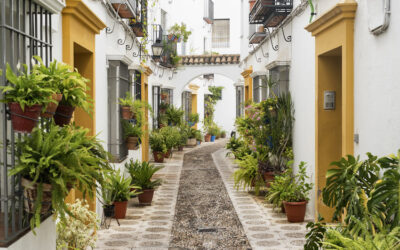 La Judería de Córdoba: Un Paseo por la Historia y Cultura